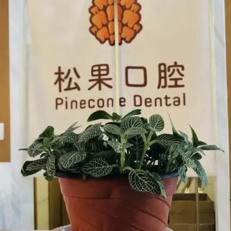 臨沂老人種牙十大口腔連鎖品牌！臨沂松果口腔門診部(新東關店)實力得到認可！